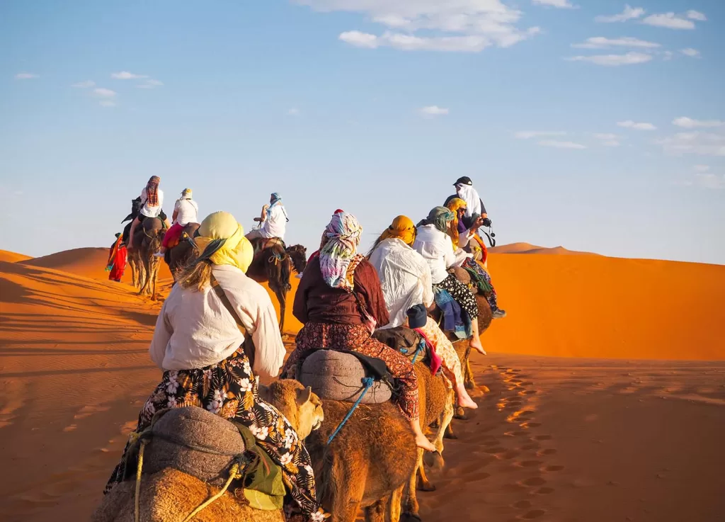 Line of camels being ridden in sahara desert at sunset